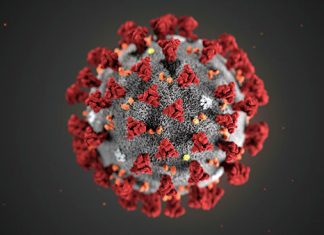 ДЭМБ-ын Онцгой байдлын хорооны хурлаас гаргасан мэдэгдэл